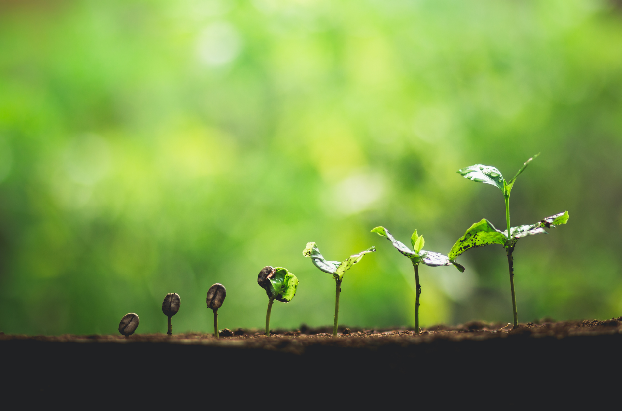 What is the Best Nitrogen Fertilizer?