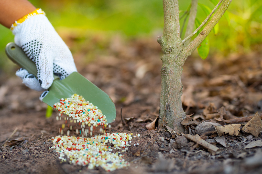 6 Popular Ways to Apply Fertilizer You Should Know Greenway Biotech Greenway Biotech, Inc.