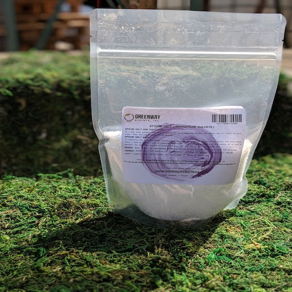 How to Really Boost Your Garden With Epsom Salt
