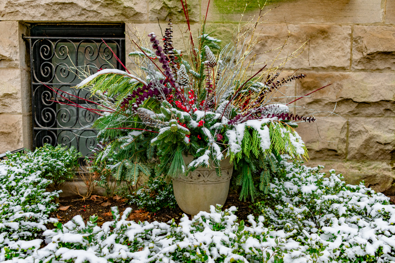 How to Make a Winter Planter for Your Porch?