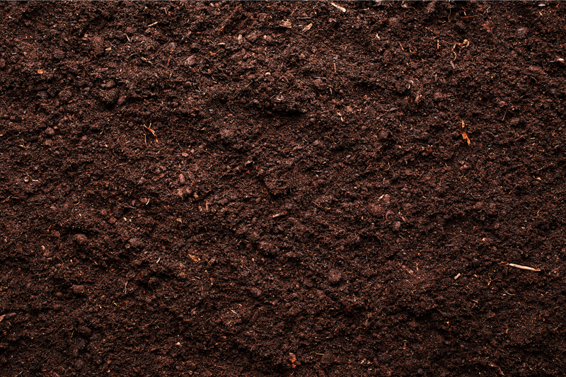 How to Naturally Reduce Your Soil pH?