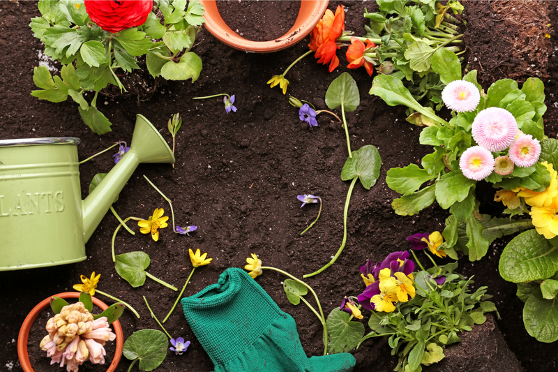 How to Make an Eco-Friendly Garden