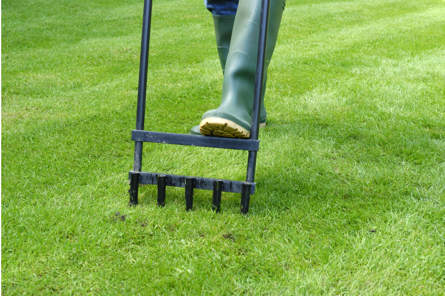 How to Aerate Your Lawn and Why it's Important?