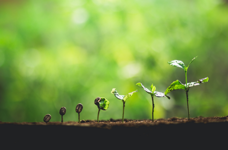 What is the Best Nitrogen Fertilizer?