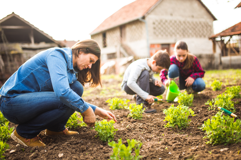 What You Need to Know About No Dig Gardening