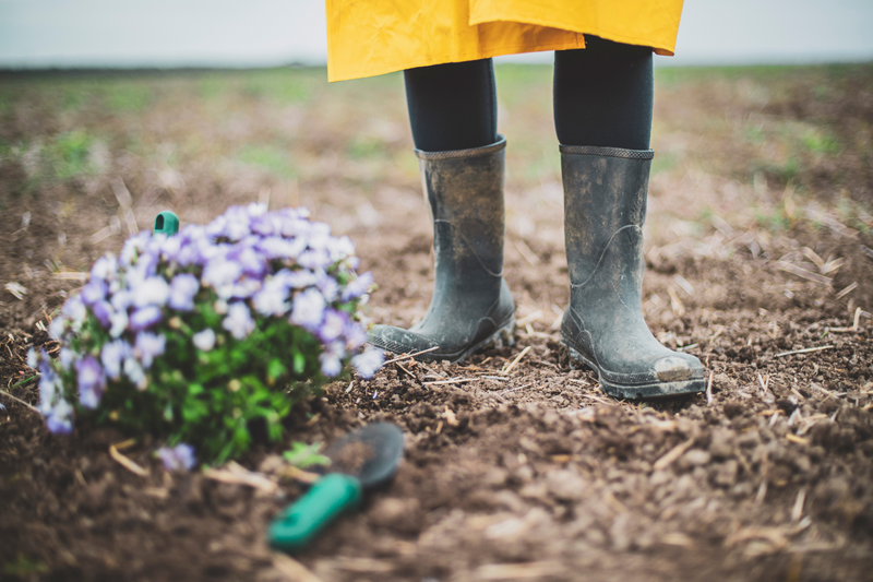 How to Clean Gardening Shoes With Boric Acid