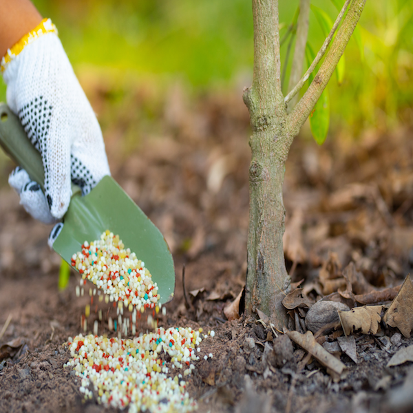 5 Common Fertilizing Mistakes You Want to Avoid