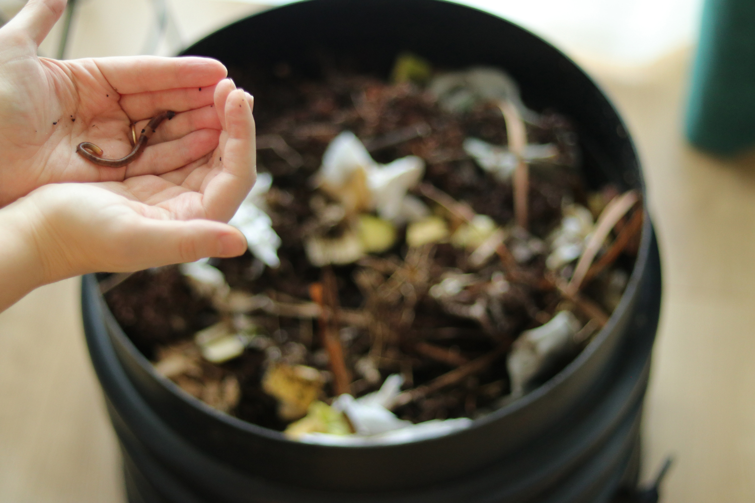 How Does Worm Composting Work?
