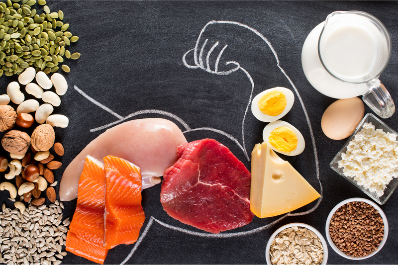 Protein Rich Foods You'll Love for Muscle Health