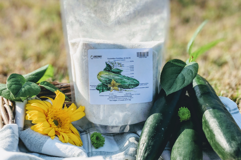 Best Fertilizers for a Vegetable Garden: Organic & Synthetic Guide   Greenway Biotech, Inc.