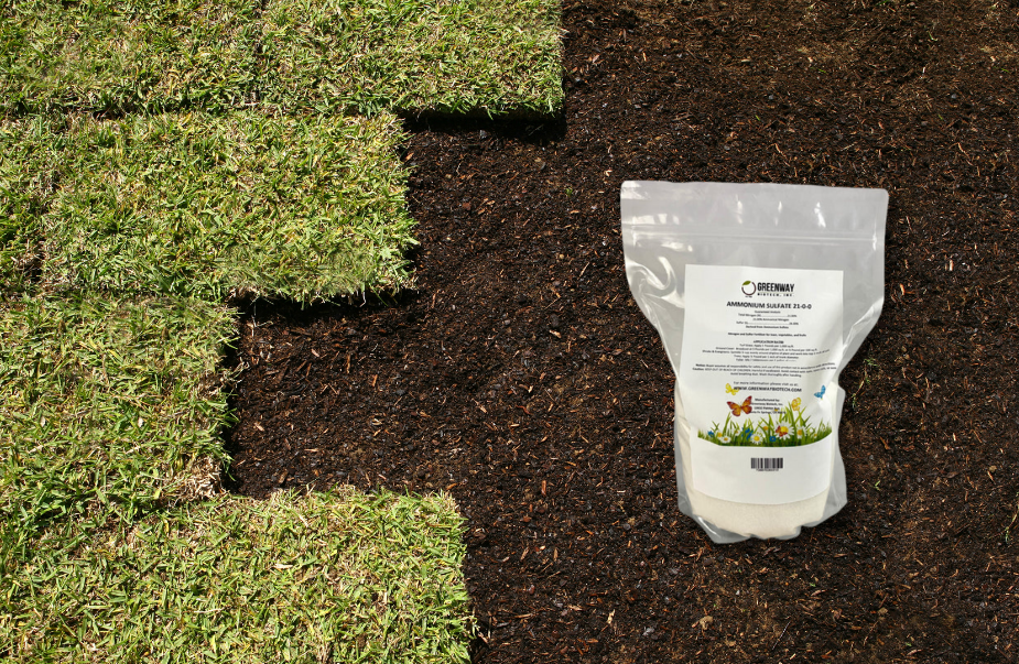 How to Prep Your Soil for Grass Seed
