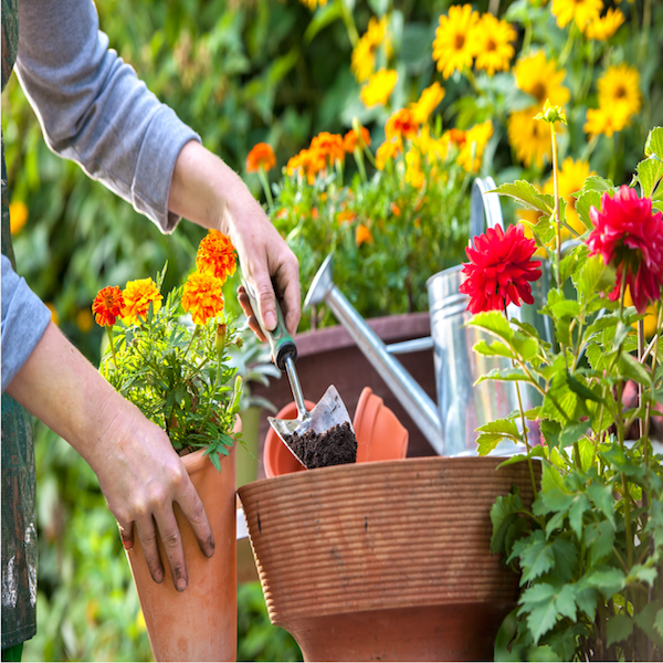 6 Interesting Ways Gardening Can Make You Healthier