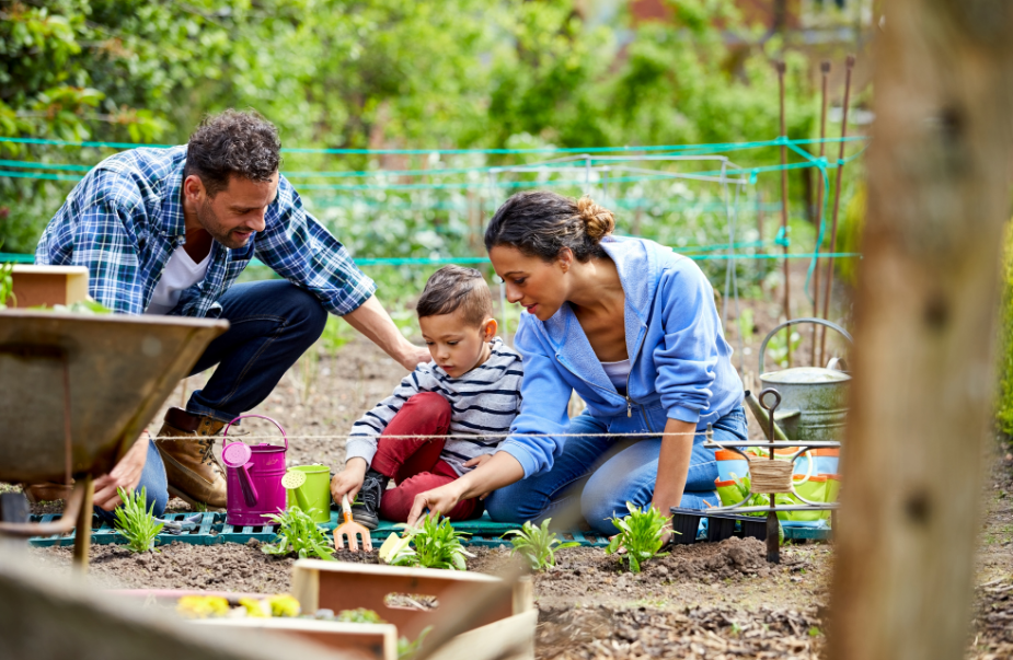 The 5 Types of Gardens Kids Love