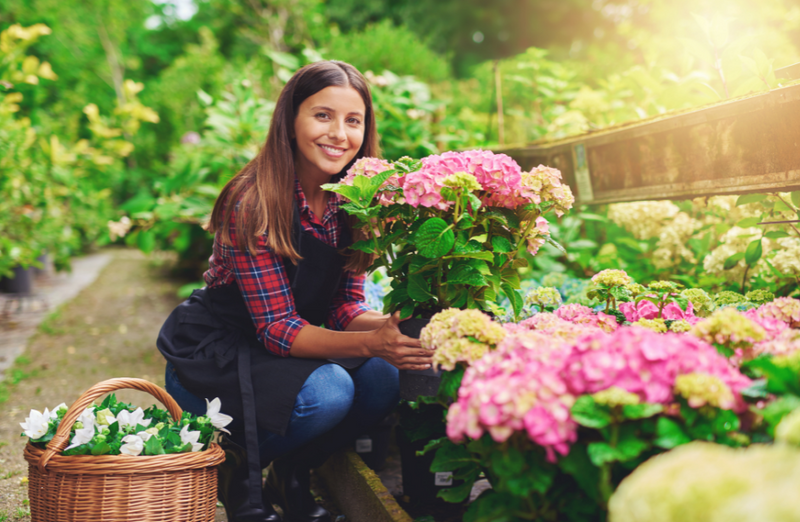 Five Gardening Basics You Must Know To Start a Garden