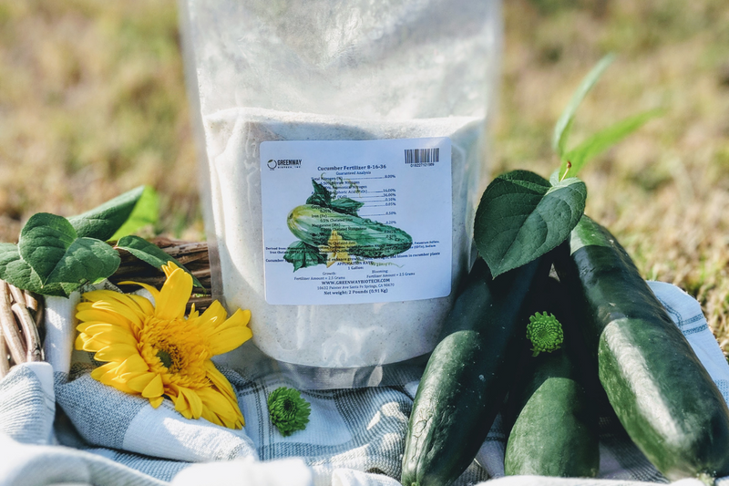 A Complete Buying Guide of Good Fertilizers for Cucumbers