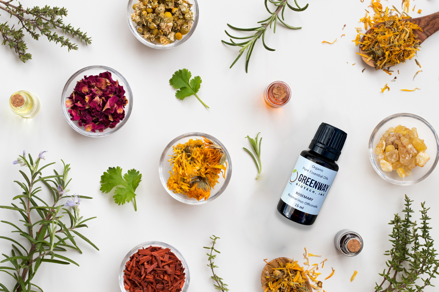 What Essential Oils Can Help Improve Anxiety?
