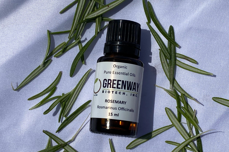 This is How Rosemary Can Boost Your Health