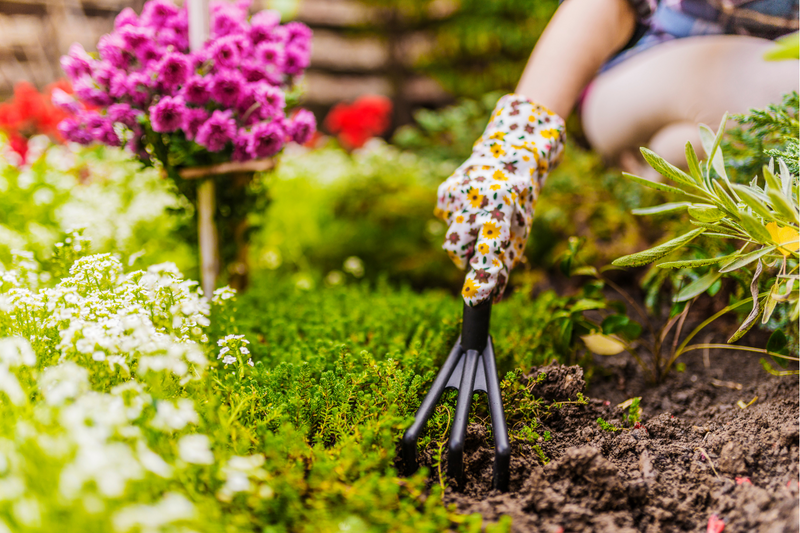 How to Prepare Your Garden for spring?