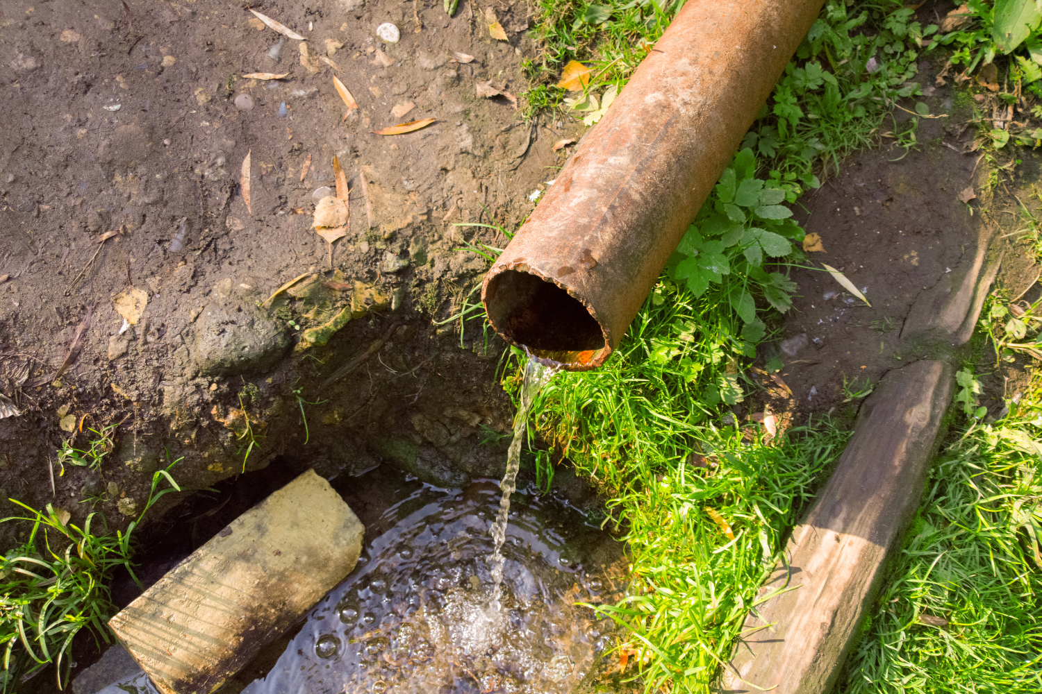 What Should You Do if Your Sewer Line Is Clogged?