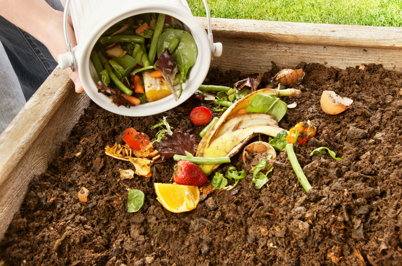 How to Compost at Home for a Healthy Garden