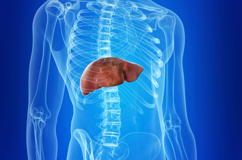 How to Restore Liver Health With MSM Powder