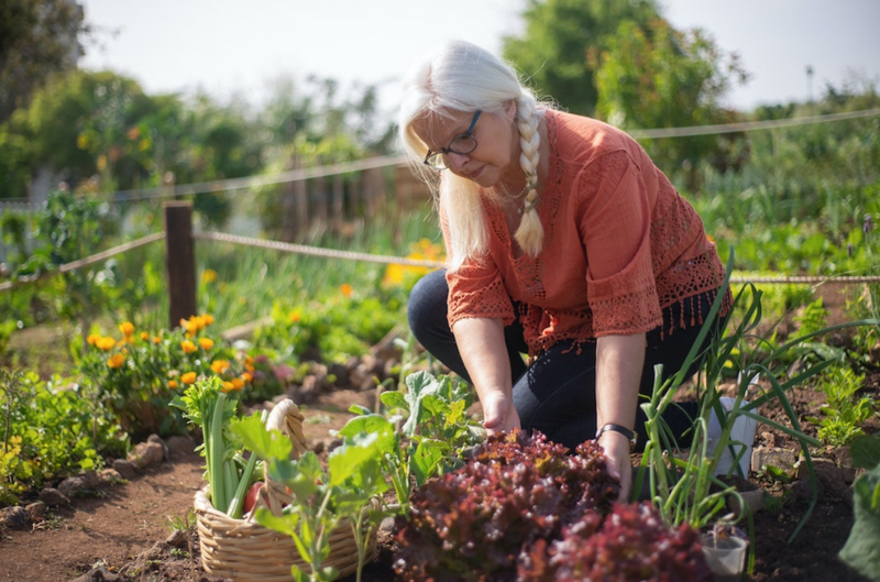 Your Food Garden Can Help the Environment - Here's Why