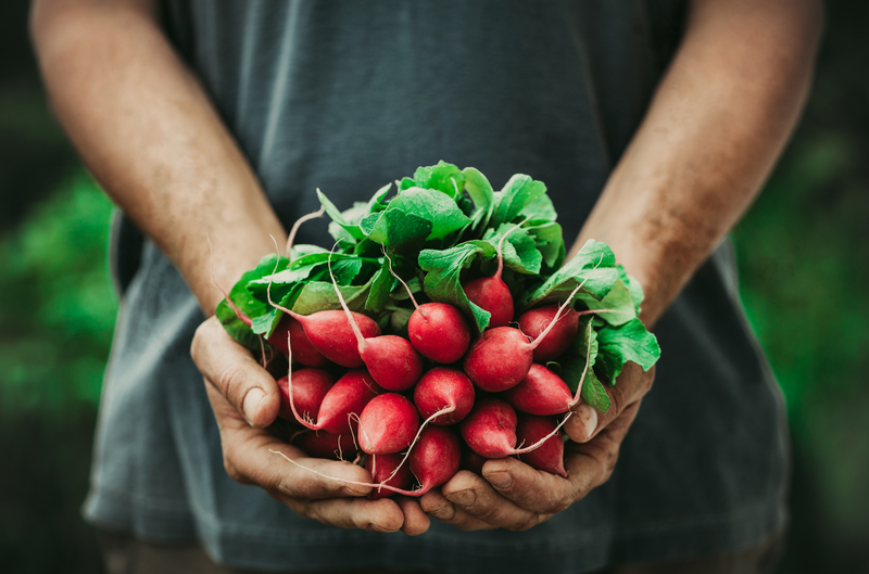 How to Make Your Home Garden Vegan-Approved