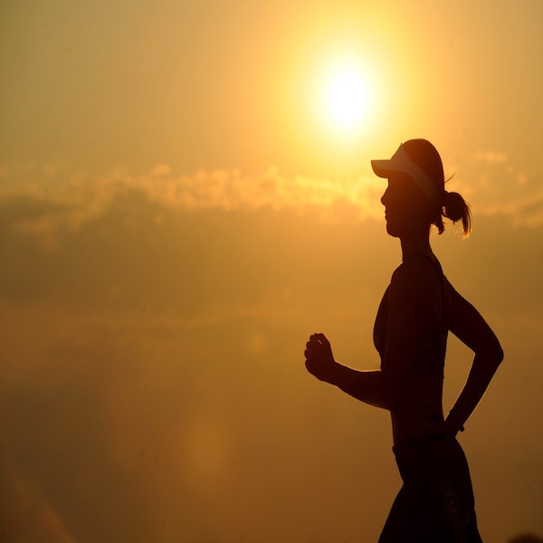 How Can MSM Boost Your Immune System?