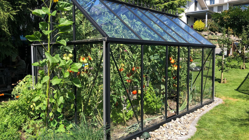 Is It Worth It to Build a Greenhouse? A Comprehensive Guide