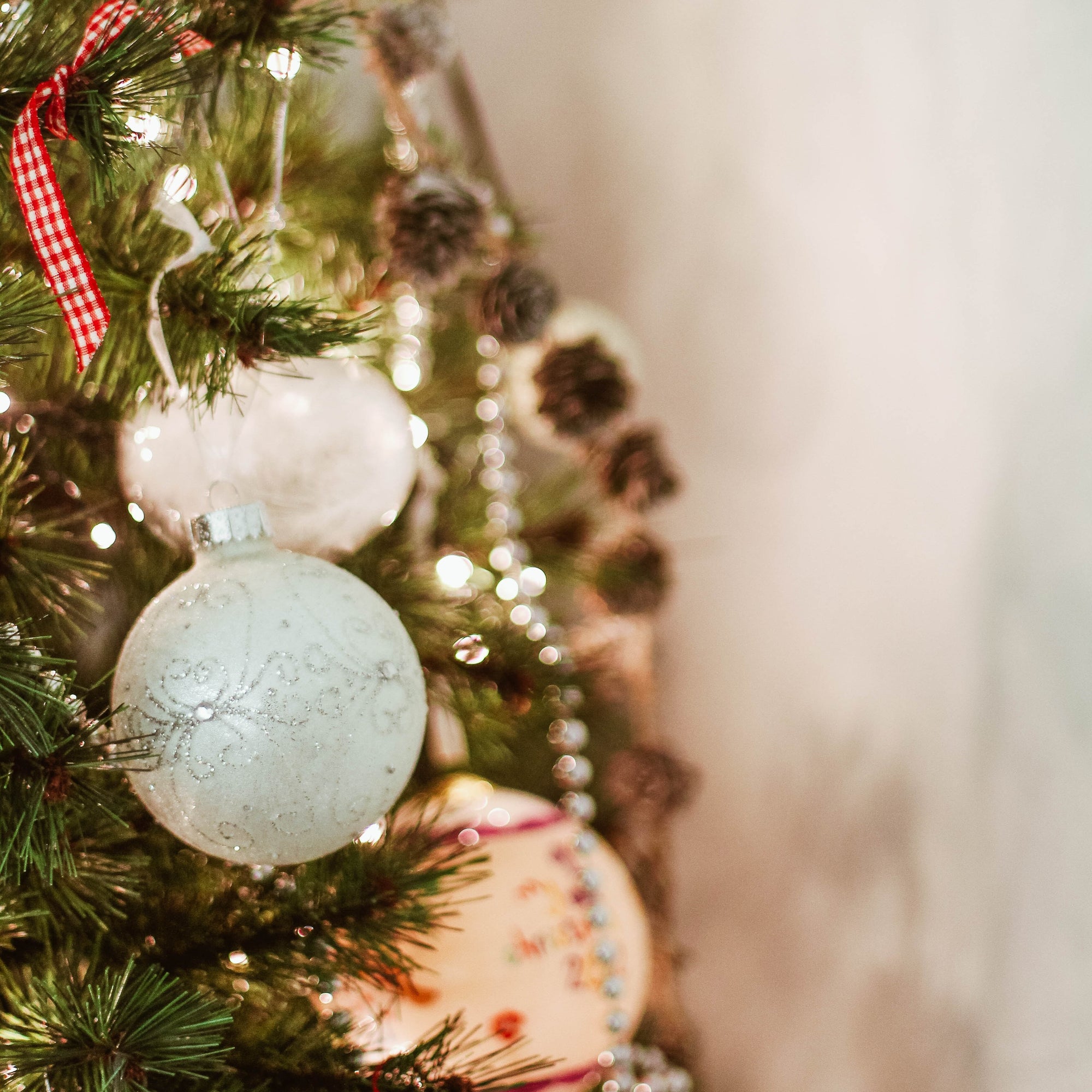 6 Clever Ways to Reuse Your Christmas Tree in the Garden