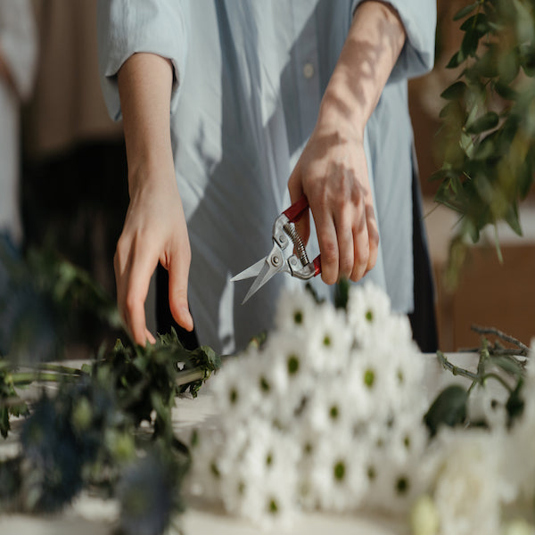 How to Prune Your Plants for Higher Yields