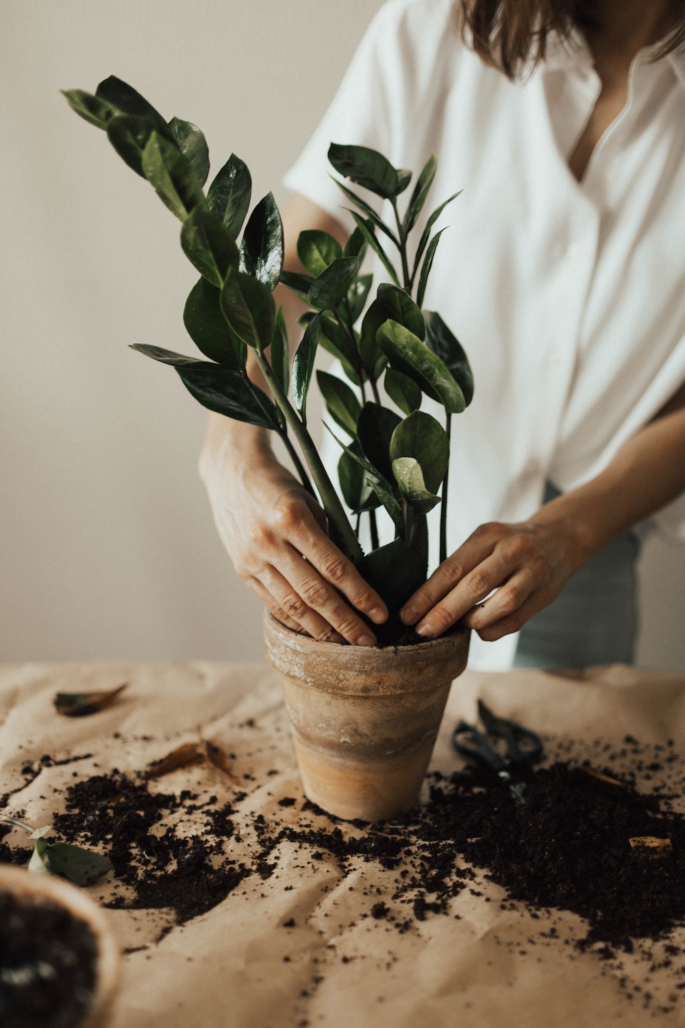 6 Homemade Potting Soil Recipes Your Plants Will Love