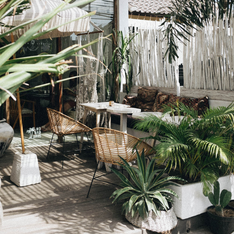 6 Charming Ways to Decorate Your Home With Plants