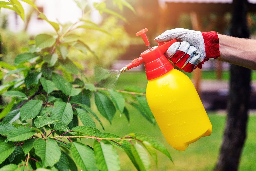 Pesticide