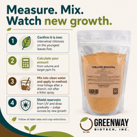 How to use Chelated Iron DTPA safely in four steps; judge success by new growth.