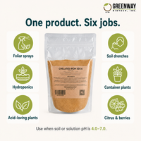 Chelated Iron EDTA 13% uses: foliar, soil, hydroponics, containers, acid-loving plants, citrus