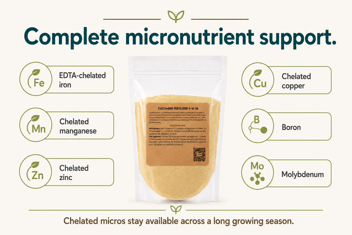 Micronutrient package in Cucumber Fertilizer 8-16-36 with EDTA-chelated iron, manganese, zinc, copper, plus boron and molybdenum