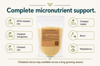 Micronutrient package in Cucumber Fertilizer 8-16-36 with EDTA-chelated iron, manganese, zinc, copper, plus boron and molybdenum