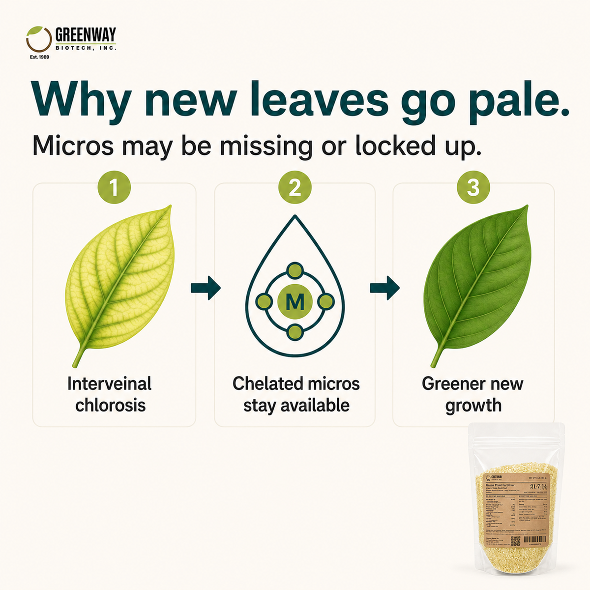 How chelated micronutrients in 21-7-14 may help keep new houseplant leaves green