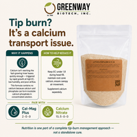 Lettuce Fertilizer 8-15-36 tip burn guide: a calcium transport issue, pair with separate calcium source
