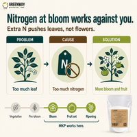 Why zero nitrogen at bloom helps MKP 0-52-34 drive flowers and fruit instead of leaf growth