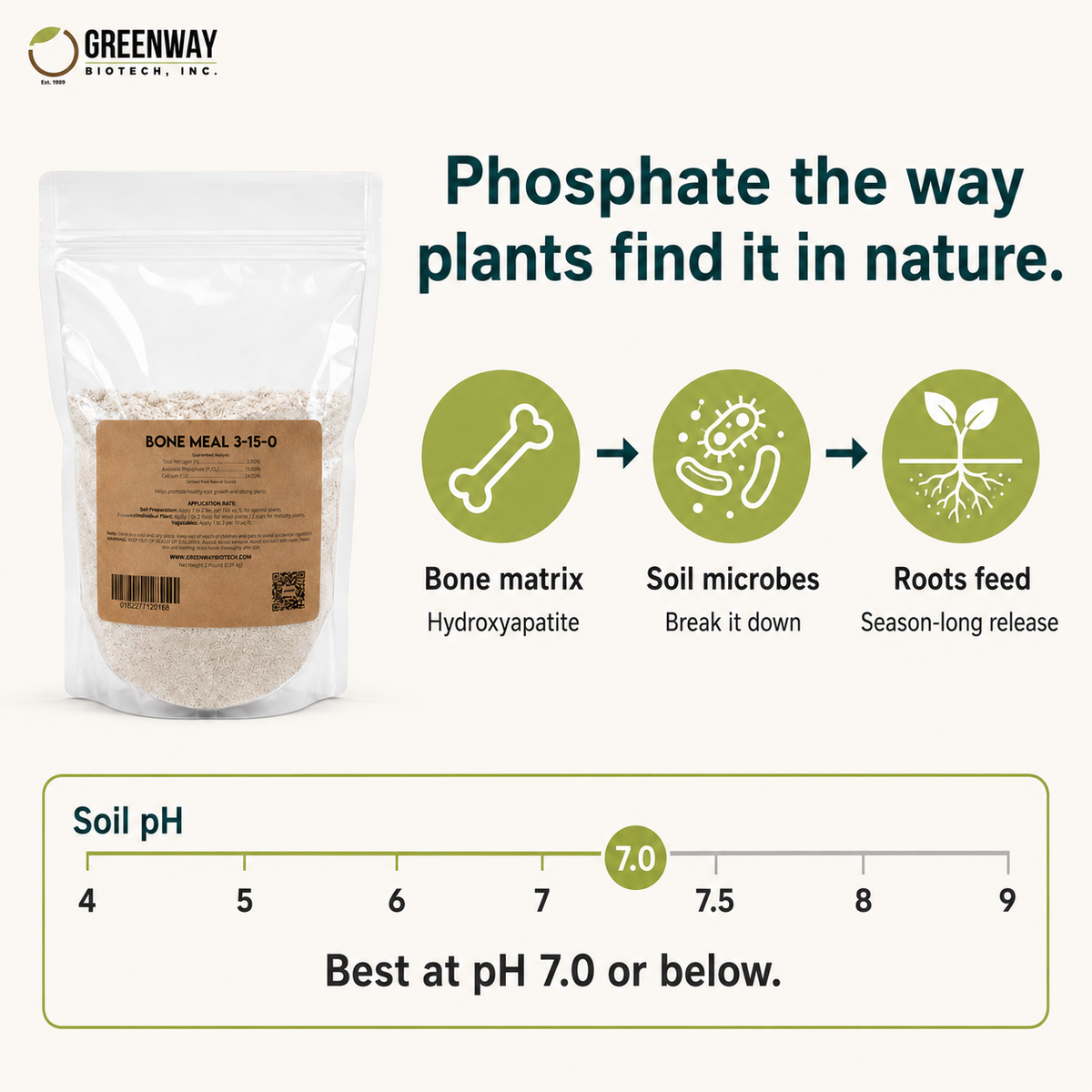 How Bone Meal 3-15-0 releases phosphate as soil microbes break down the bone matrix over 3 to 4 months