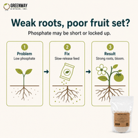 Bone Meal 3-15-0 supplies slow-release phosphate that may help support stronger roots and better fruit set