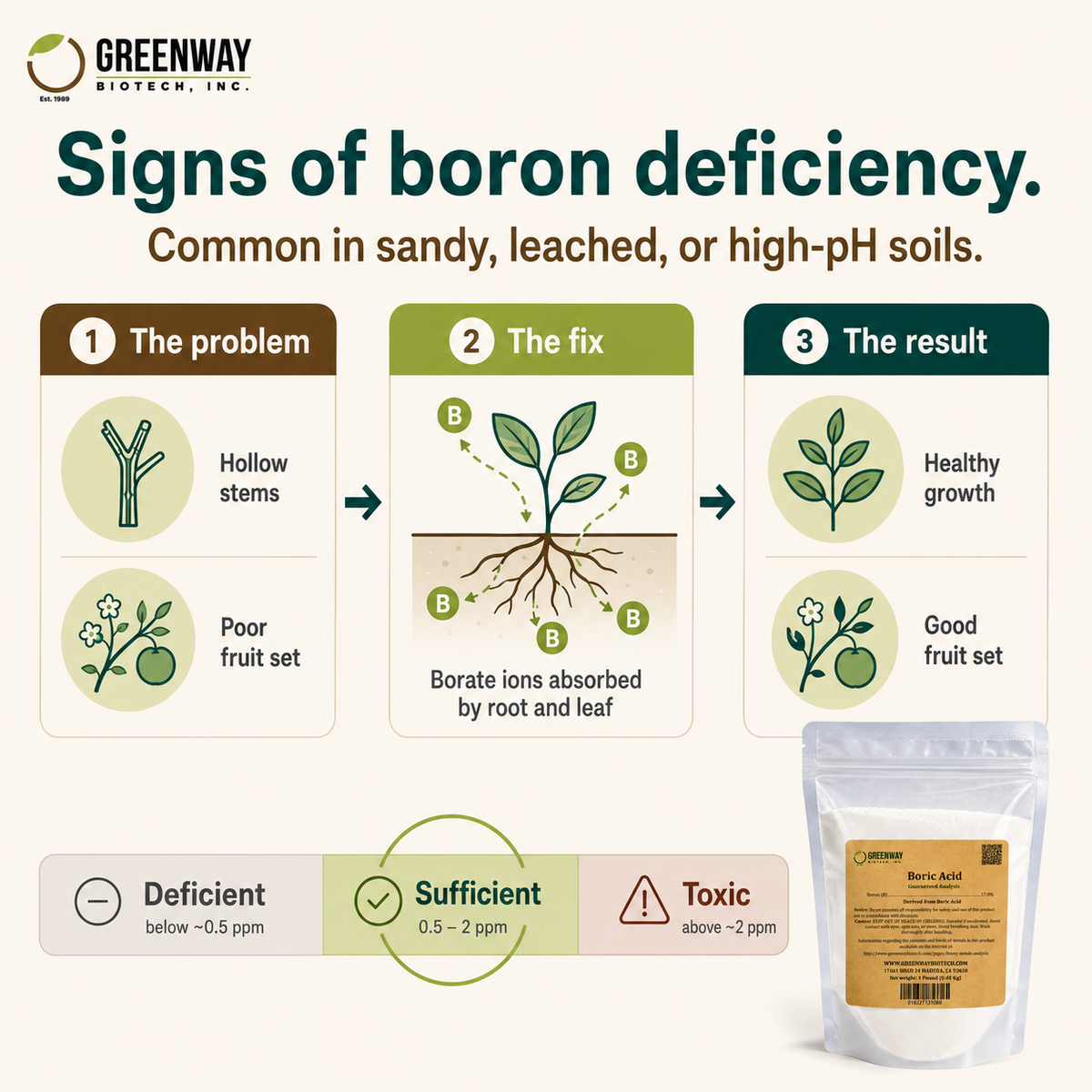 Boron deficiency signs and how Organic Boric Acid 17% corrects them in plants

