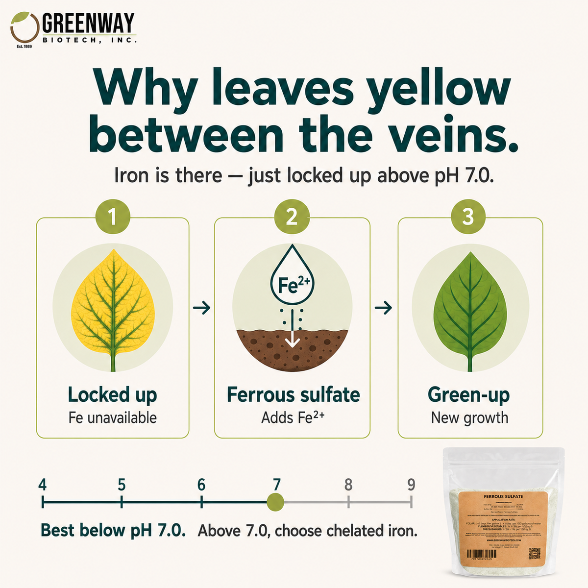 How Organic Ferrous Sulfate corrects iron chlorosis where iron is locked up above pH 7