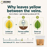 How Organic Ferrous Sulfate corrects iron chlorosis where iron is locked up above pH 7