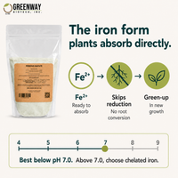 Organic Ferrous Sulfate supplies Fe2+ iron plants absorb directly for fast foliar green-up