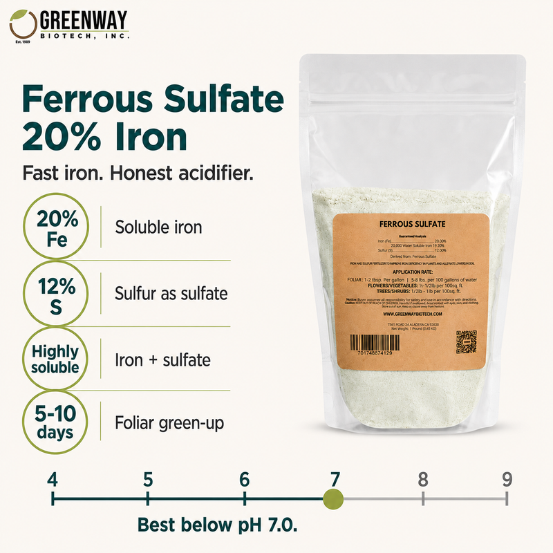 Organic Ferrous Sulfate (Iron Sulfate) | 20% Iron (Fe)