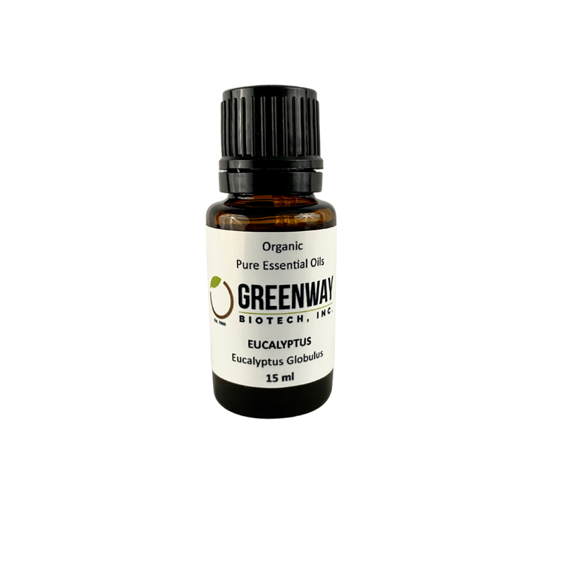 Eucalyptus (Eucalyptus Globulus)Essential Oil